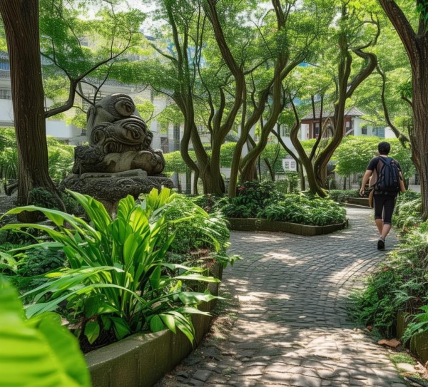 漳州中山公园，城市的绿肺之旅，发现隐藏宝藏,漳州中山公园，城市的绿肺之旅，发现隐藏宝藏,历史,景点,第1张