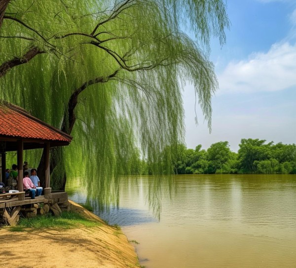 黄河畔休闲秘境，菏泽黄河滩之旅,黄河畔休闲秘境，菏泽黄河滩之旅,历史,景点,美食,第1张