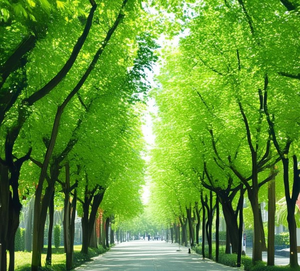 绿城漫步指南，南宁景点全攻略,绿城漫步指南，南宁景点全攻略,历史,景点,风光,第1张