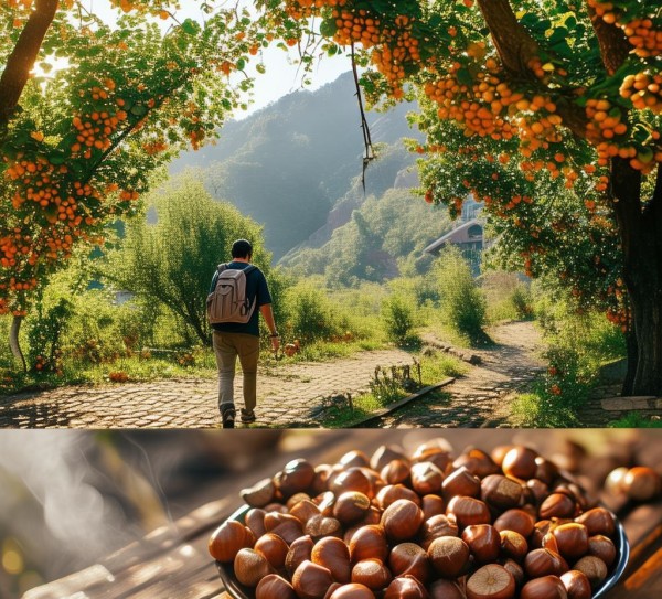麻城板栗之旅，美食美景双重体验,麻城板栗之旅，美食美景双重体验,历史,美食,风光,第1张