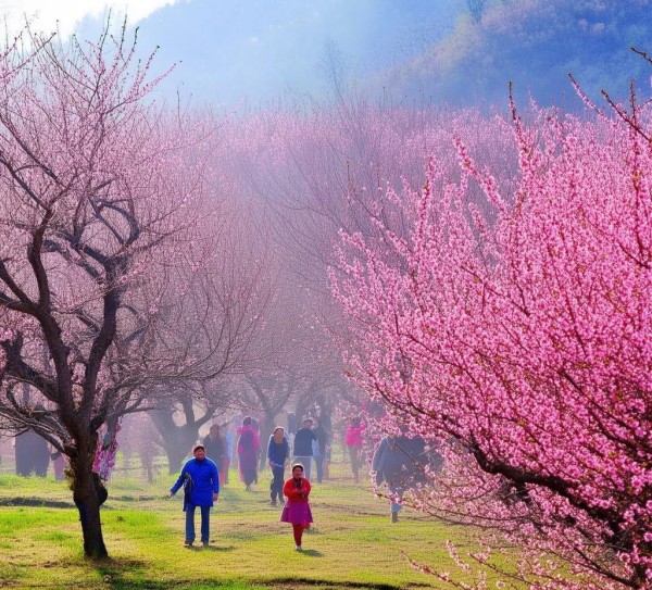 宜宾桃林景区，春季赏花踏青的理想之地,宜宾桃林景区，春季赏花踏青的理想之地,历史,美食,风光,第1张