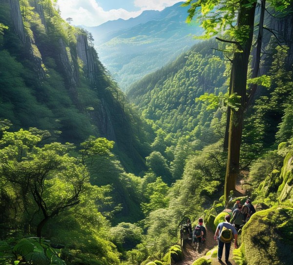 璧山登山之旅，发现璧山最美登山路线,璧山登山之旅，发现璧山最美登山路线,风光,自然,第1张