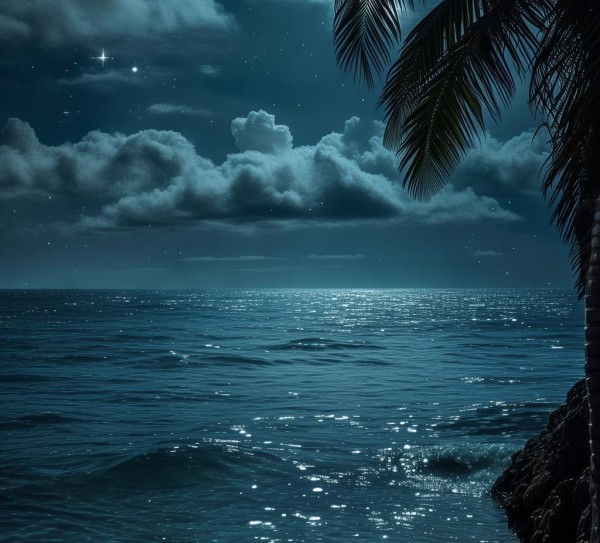 静海夜色，探寻夜幕下的魅力之地,静海夜色，探寻夜幕下的魅力之地,历史,风情,美食,第1张