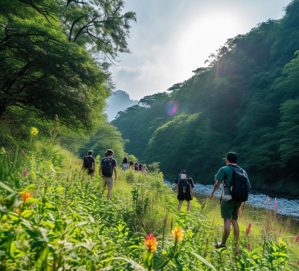 罗平钟山，悠闲时光中的自然奇观探险胜地,罗平钟山，悠闲时光中的自然奇观探险胜地,历史,景点,风情,第1张