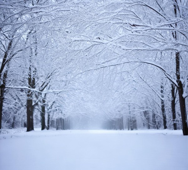 冬日杭州雪景探秘，寻味雪中乐趣胜地,冬日杭州雪景探秘，寻味雪中乐趣胜地,历史,景点,风情,第1张