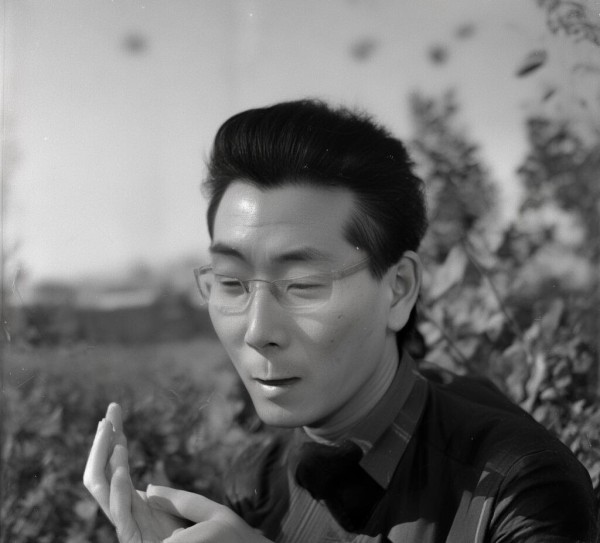 鹭江镇海滨风情探秘，五大绝美景点尽收眼底,鹭江镇海滨风情探秘，五大绝美景点尽收眼底,历史,景点,美食,第1张