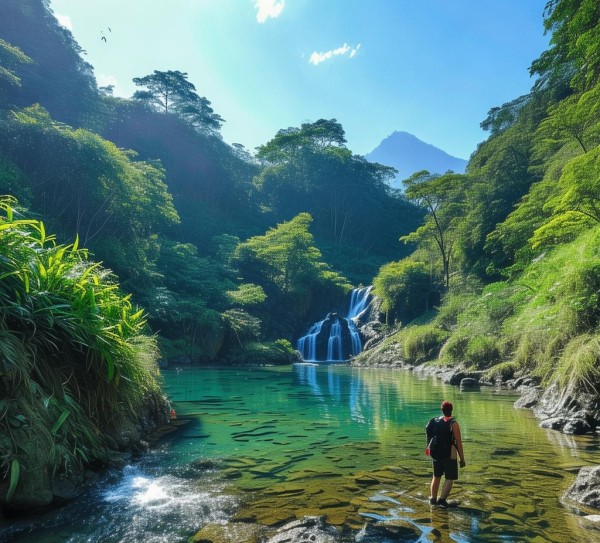 探寻塘朗山，深圳后花园的自然奇景,探寻塘朗山，深圳后花园的自然奇景,历史,美食,自然,第1张