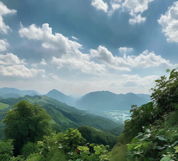 崂山风景区观光车畅游攻略，尽览崂山美景之旅,崂山风景区观光车畅游攻略，尽览崂山美景之旅,景点,风光,自然,第1张