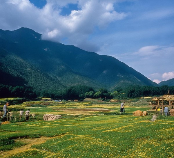 昆明，高原春城景点稀缺之谜,昆明，高原春城景点稀缺之谜,历史,景点,风情,第1张