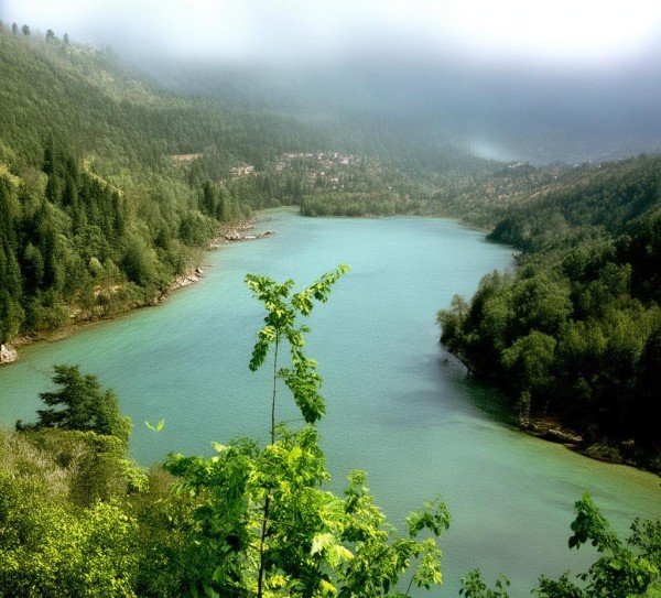 椰岛风情录，海南媳妇的趣味生活瞬间,椰岛风情录，海南媳妇的趣味生活瞬间,风情,风光,自然,第1张
