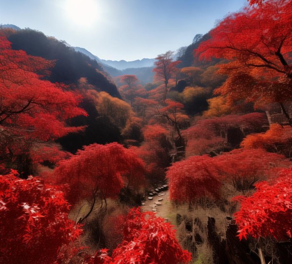 红色之旅探秘，小梁山自然风光与红色足迹之旅,红色之旅探秘，小梁山自然风光与红色足迹之旅,历史,景点,风情,第1张