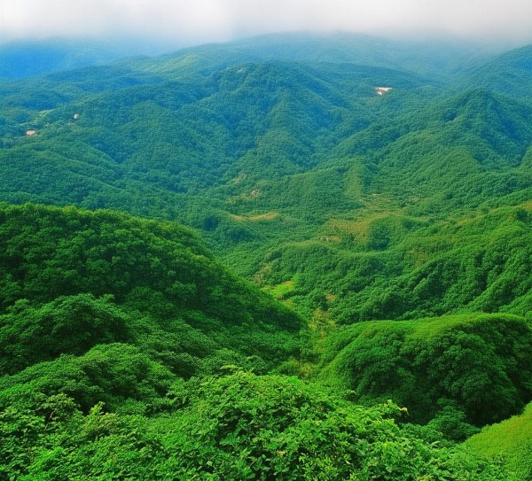 赣榆周边登山胜地推荐，畅游户外乐土攻略,赣榆周边登山胜地推荐，畅游户外乐土攻略,历史,景点,风光,第1张