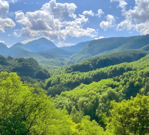 桂野趣寻，桂周边野炊圣地大盘点,桂野趣寻，桂周边野炊圣地大盘点,风情,美食,风光,第1张