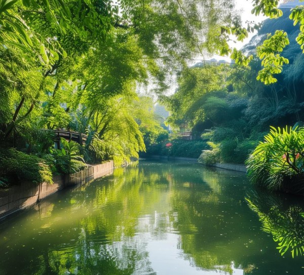 南宁清川，漫步清新南宁，发现隐藏的美好角落,南宁清川，漫步清新南宁，发现隐藏的美好角落,历史,景点,美食,第1张